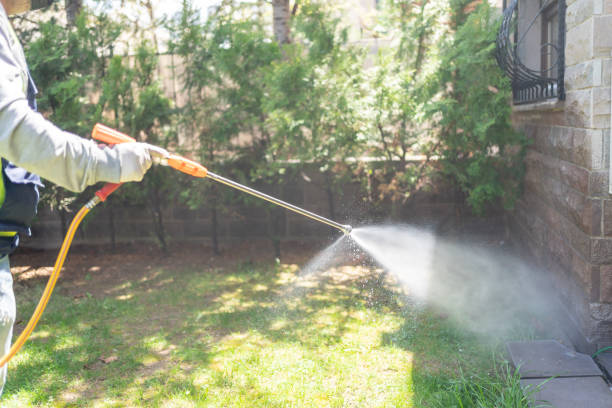 Best Insect Control  in Cimarron Hills, CO