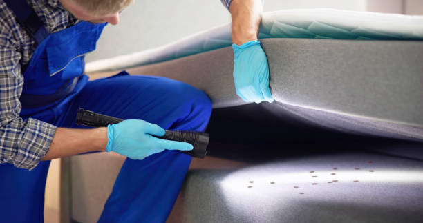 Best Rat Extermination Near Me  in Cimarron Hills, CO